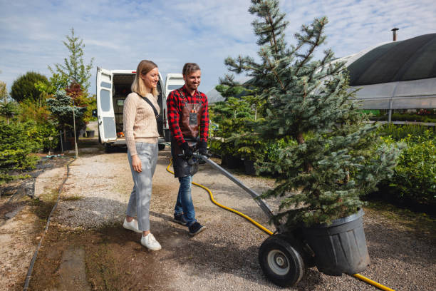 Best Seasonal Cleanup (Spring/Fall)  in Yoncalla, OR